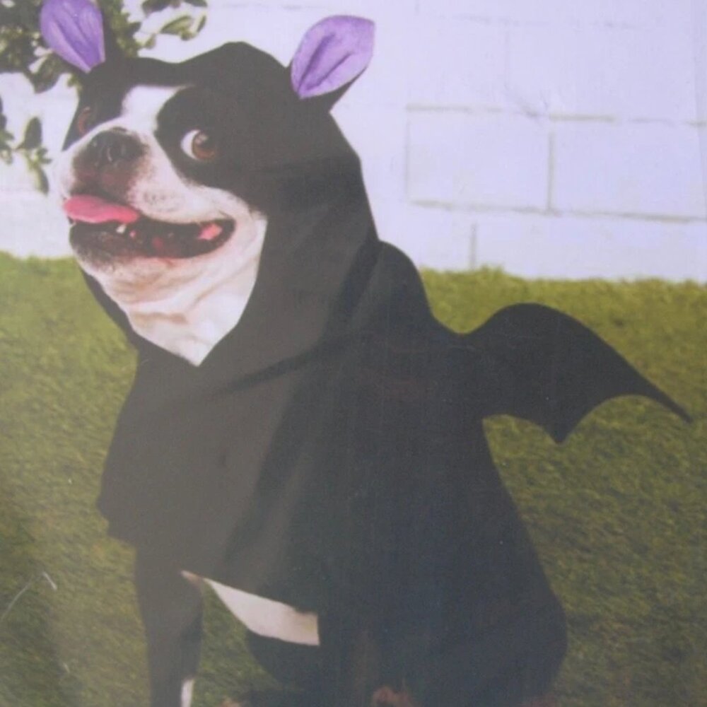 Ashland Halloween Dog Bat Costume